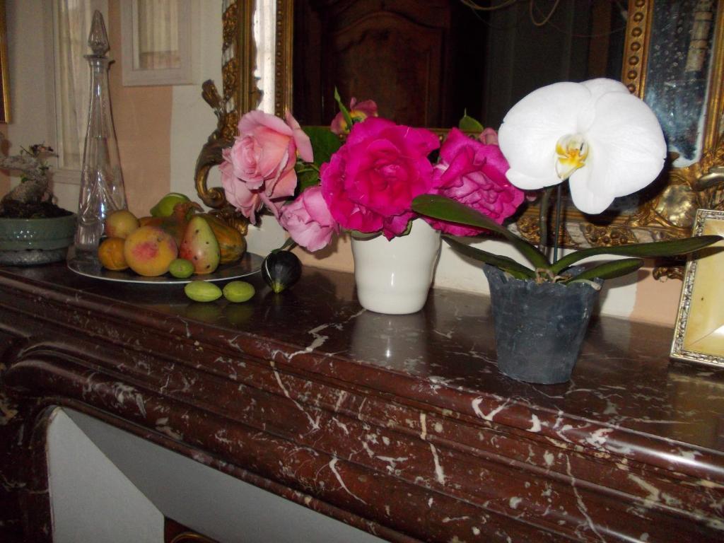 كونْياك B&B Maison Gaudin المظهر الخارجي الصورة